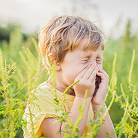 Junge-Pollen-Niesen-Unbenannt-1-1