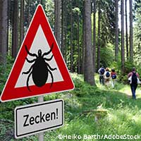 klein-Zecke-1